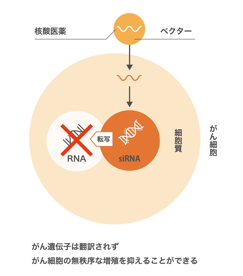 ノーベル生理学･医学賞を受賞した技術を使った